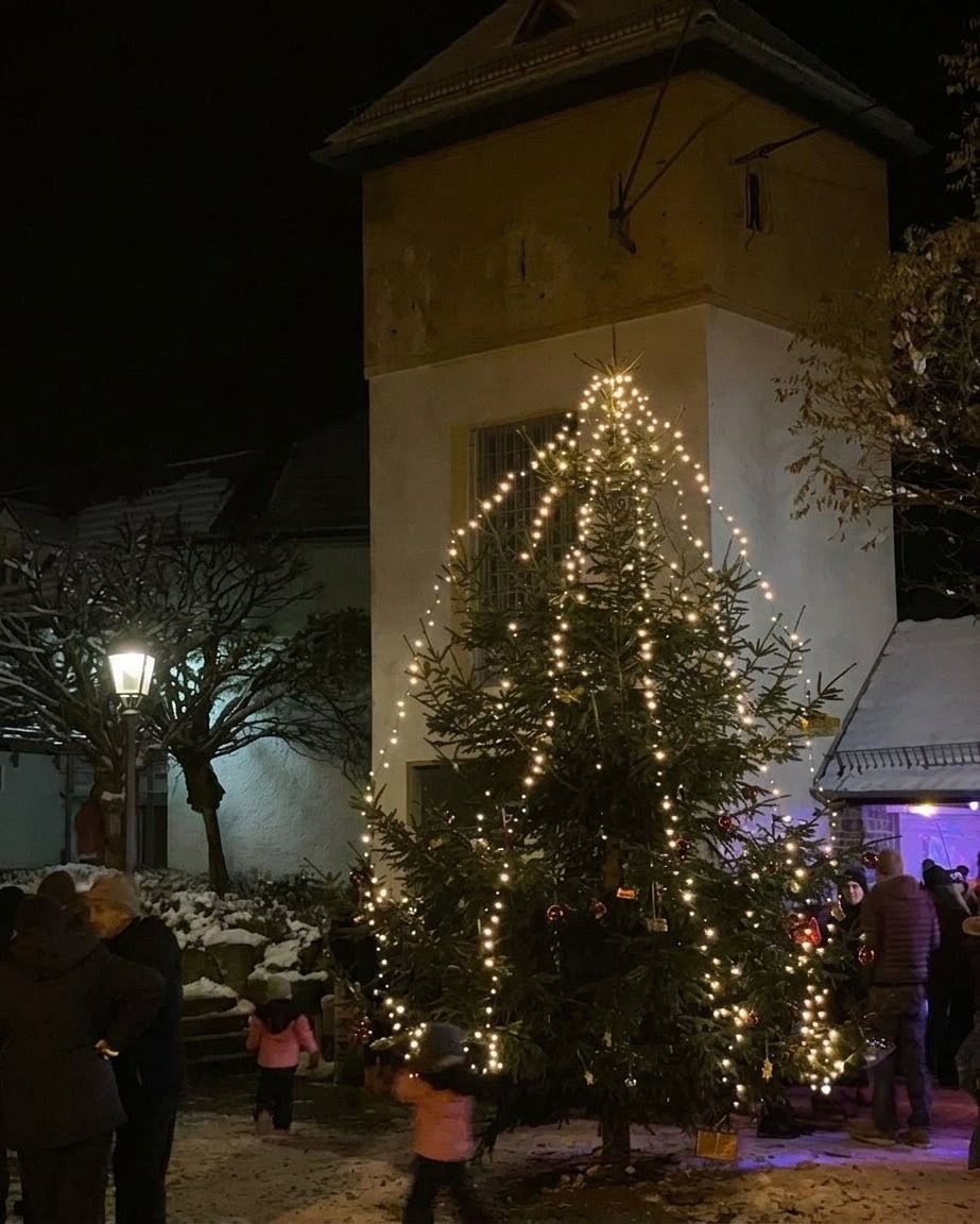 Weihnachtsbaumstellen